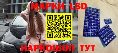 трава Сланцы