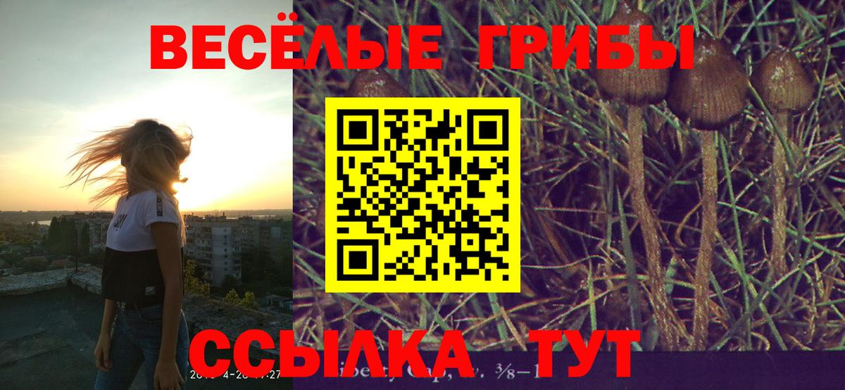 Арсеньев  Галлюциногенные грибы GOLDEN TEACHER  Вход с VPN  Галлюциногенные грибы ЛСД 