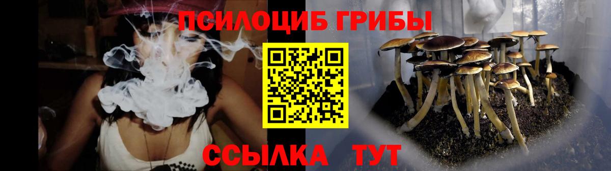 Галлюциногенные грибы мицелий Арсеньев